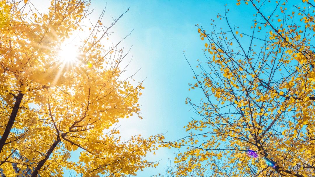 1602037476733003.jpg 微信图片_20201007102023.jpg