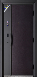 智能产品系列金尊